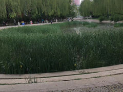 -丰台科技园生态主题公园