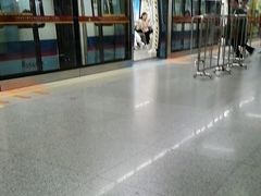 -潭村(地铁站)