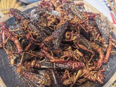 -欢聚烤吧(朱辛庄TBD万科店)