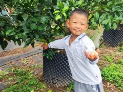 -前小桔亲子创意农场·草莓采摘·露营烧烤