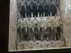 -水洞沟旅游区