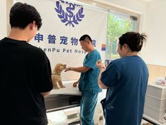 -申普宠物医院·眼科·心内科·影像科(普陀分院)