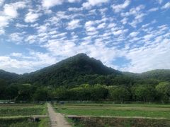 -八卦田遗址公园