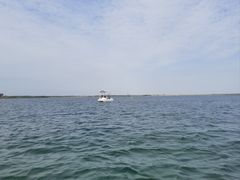 -碧海金沙