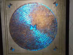 -上海昆虫博物馆