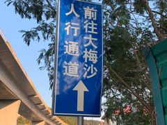 -大梅沙海滨公园