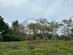 -白沙门生态公园