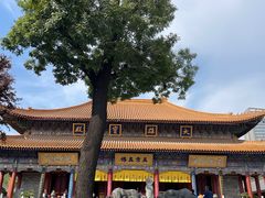 -西安大兴善寺