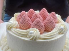 -壹点壹客·生日蛋糕(南山店)