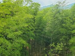 -陶祖圣境风景区