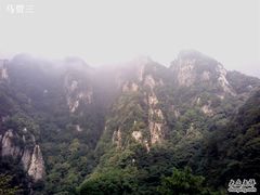 -王顺山国家森林公园