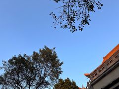 -深圳仙湖植物园