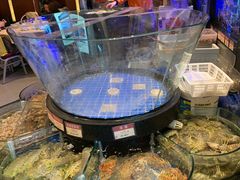 -陶陶居海鲜酒家(新马路店)