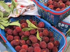 -花园菜市场