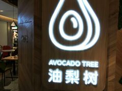 -油梨树AVOCADO TREE(嘉里中心店)
