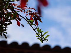 -解香楼(八盘岭路店)