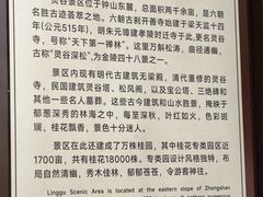 -灵谷景区
