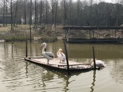 -宁波杭州湾国家湿地公园