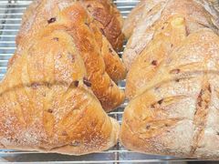 -Juicy Bakery(大学路店)