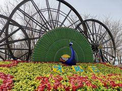-呀路古热带植物园