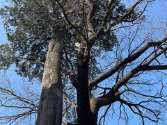 -少华山国家森林公园