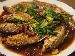 -悠悠美食