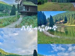 -武陵山森林公园