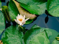 -长春公园(普阳街道)