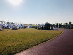 -春花秋色城市公园