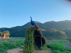 -广州市石门国家森林公园