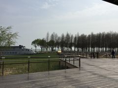 -太湖湖滨国家湿地公园-停车场