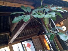 -VOYAGE COFFEE(北锣鼓巷店)