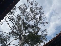 -故宫博物院(故宫)