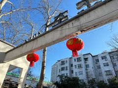 -味到1981日照海鲜·渔饺子