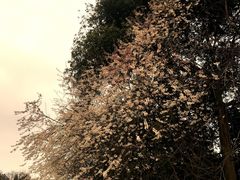 -保利石象湖景区