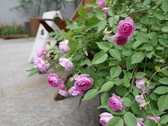 -懒鱼时光馆(沙坪坝店)