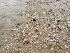 -日照灯塔风景区