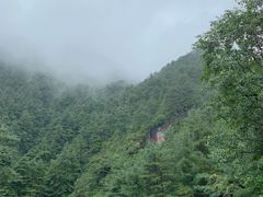 -苍山感通索道