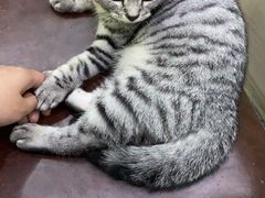 -贝利宠物医院·骨科·眼科·肿瘤转诊中心(南坪诊疗中心)
