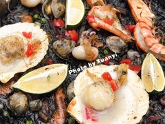 西班牙墨鱼饭-IL Forno 意坊·意大利餐厅(花园店)