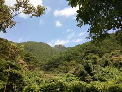 -羚羊峡古栈道森林公园