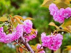 -西山漾湿地公园