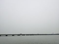 -南湖湿地公园