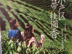 -茶百道(京溪店)