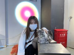 -极木²邸 人与宠物·互动社区