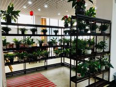 -双喜农庄·菌香园(安居家园店)