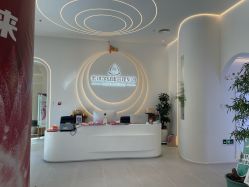 -紫琪尔·匠心连锁·胸部护理养护