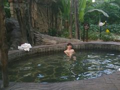 android_upload_pic-龙达温泉生态城