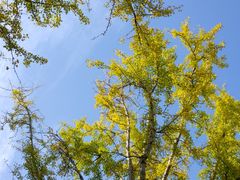 -苏州河梦清园环保主题公园