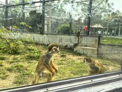 -石家庄市动物园